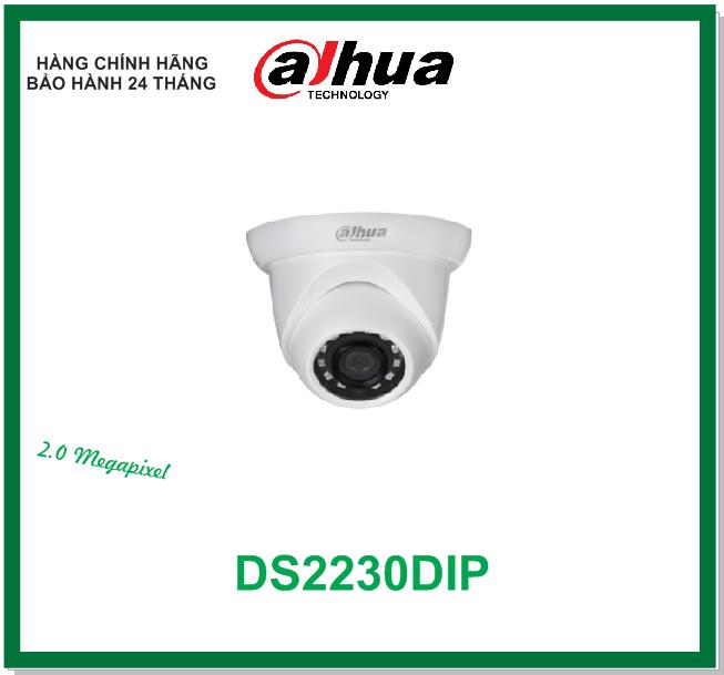 Camera 2 megapixel ds2230dip