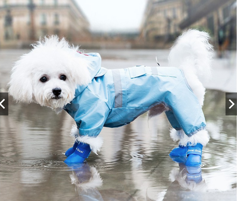 GIẦY CAO SU CHÓ MÈO THÚ CƯNG KHÔNG THẤM NƯỚC ÊM CHÂN THOẢI MÁI