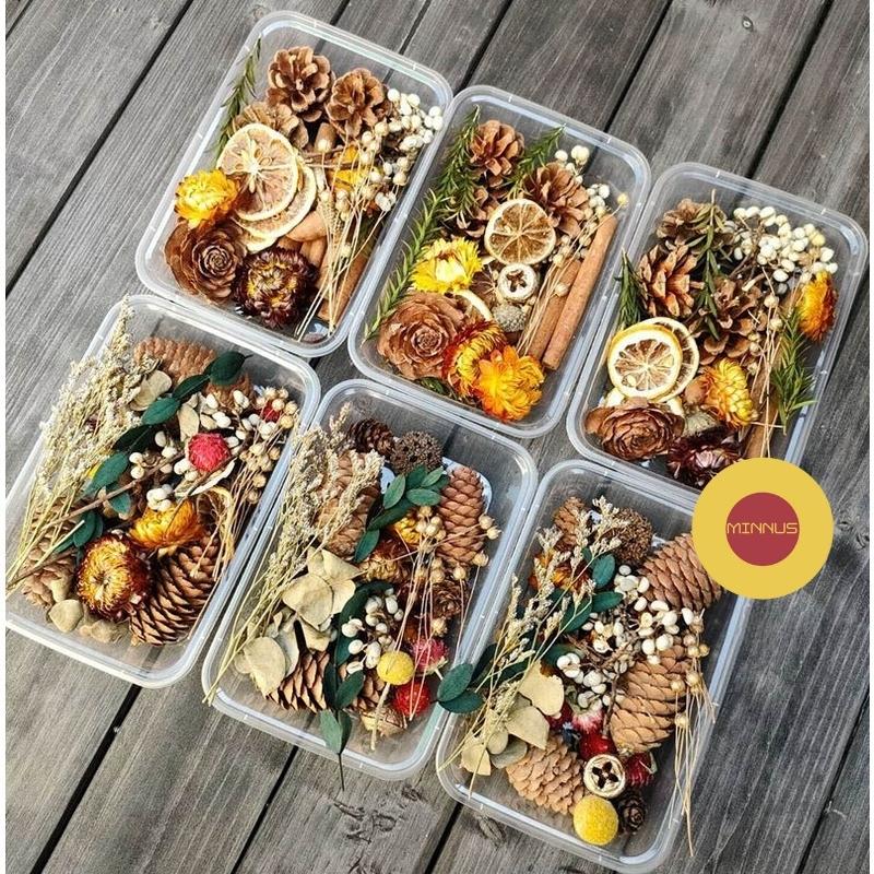 Set hoa khô thảo mộc decor trang trí set phụ kiện handmade siêu xinh quả thông cam khô lá xanh