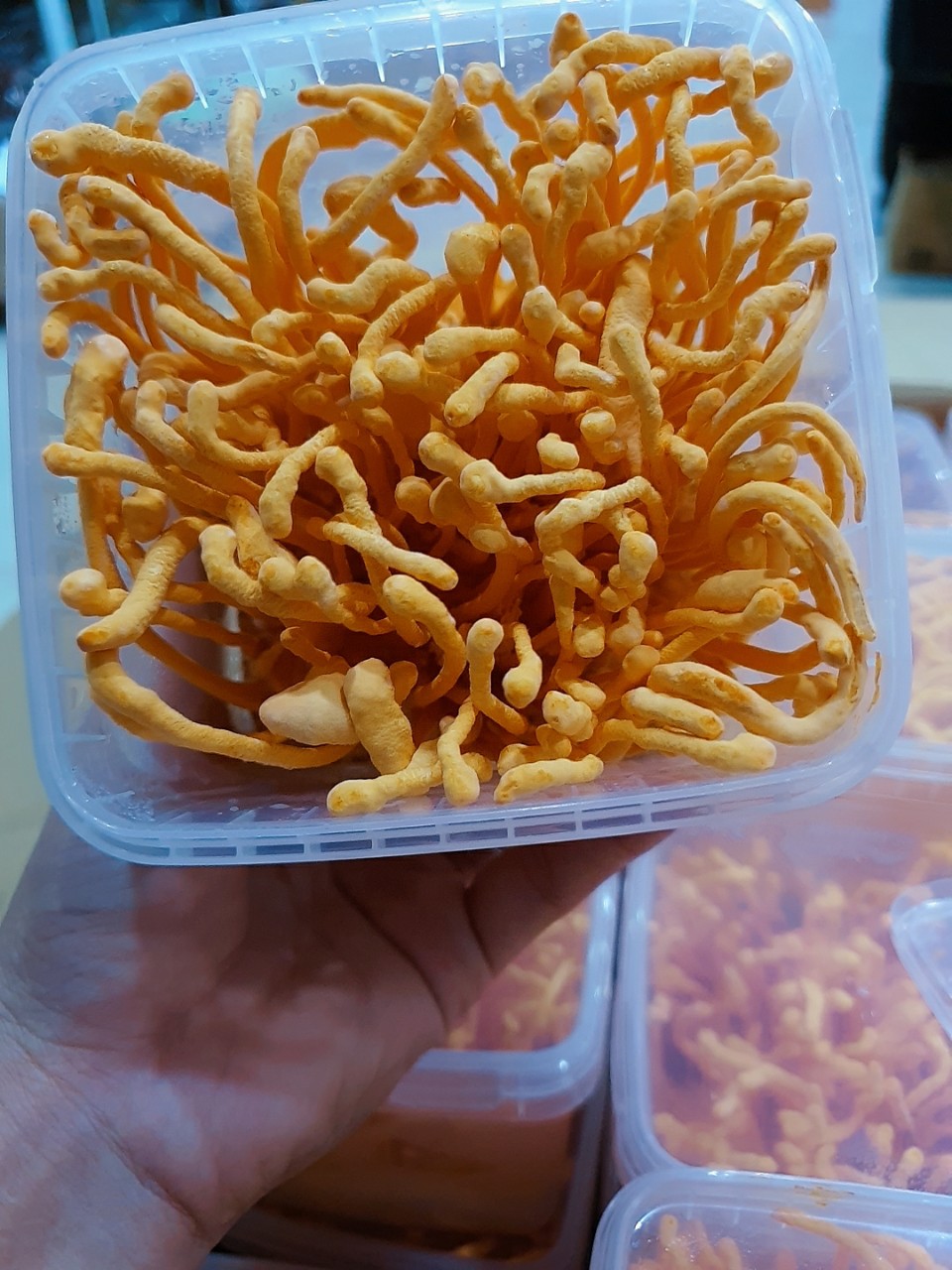 Đông Trùng Hạ Thảo Tươi