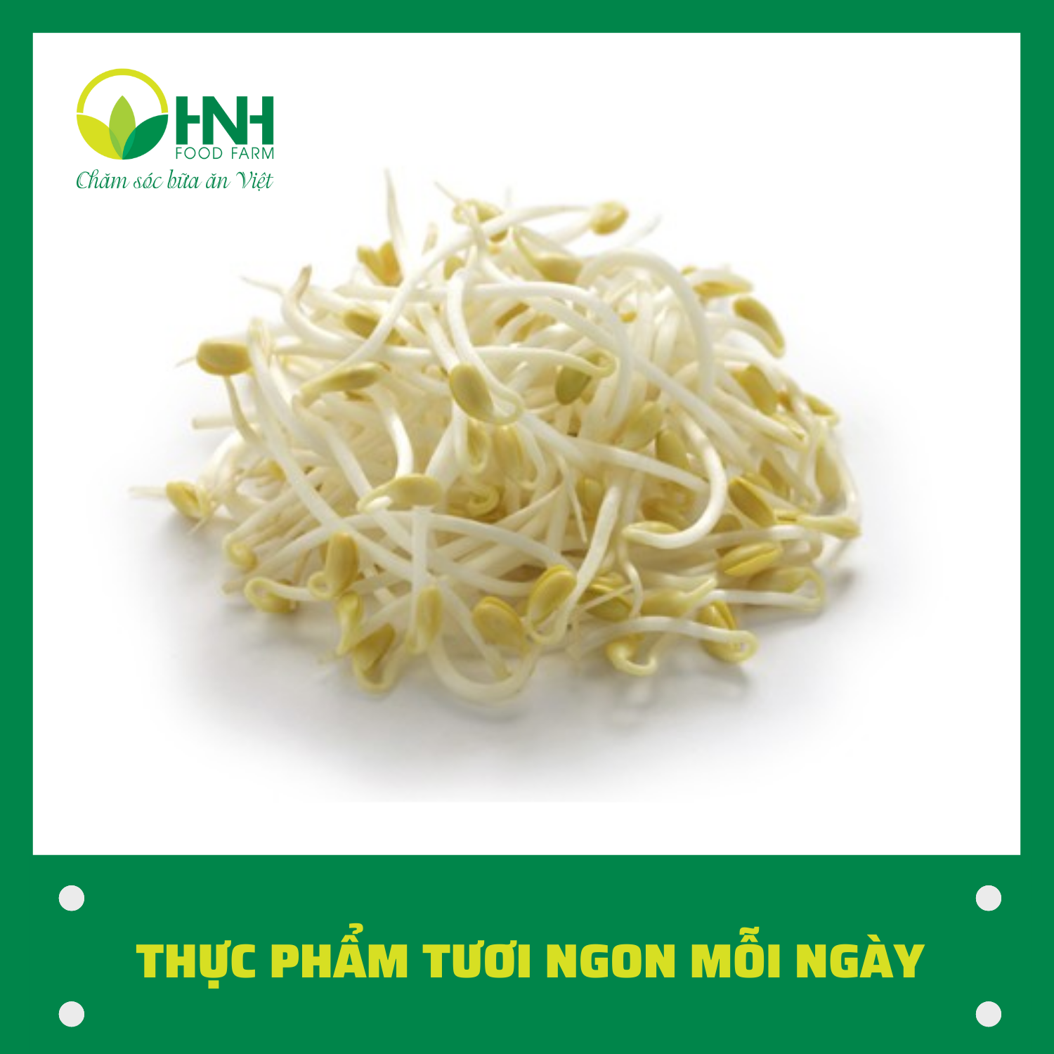 [CHỈ GIAO HÀ NỘI] Giá đỗ sạch ngon trợ giá mùa dịch - HNH Food Farm