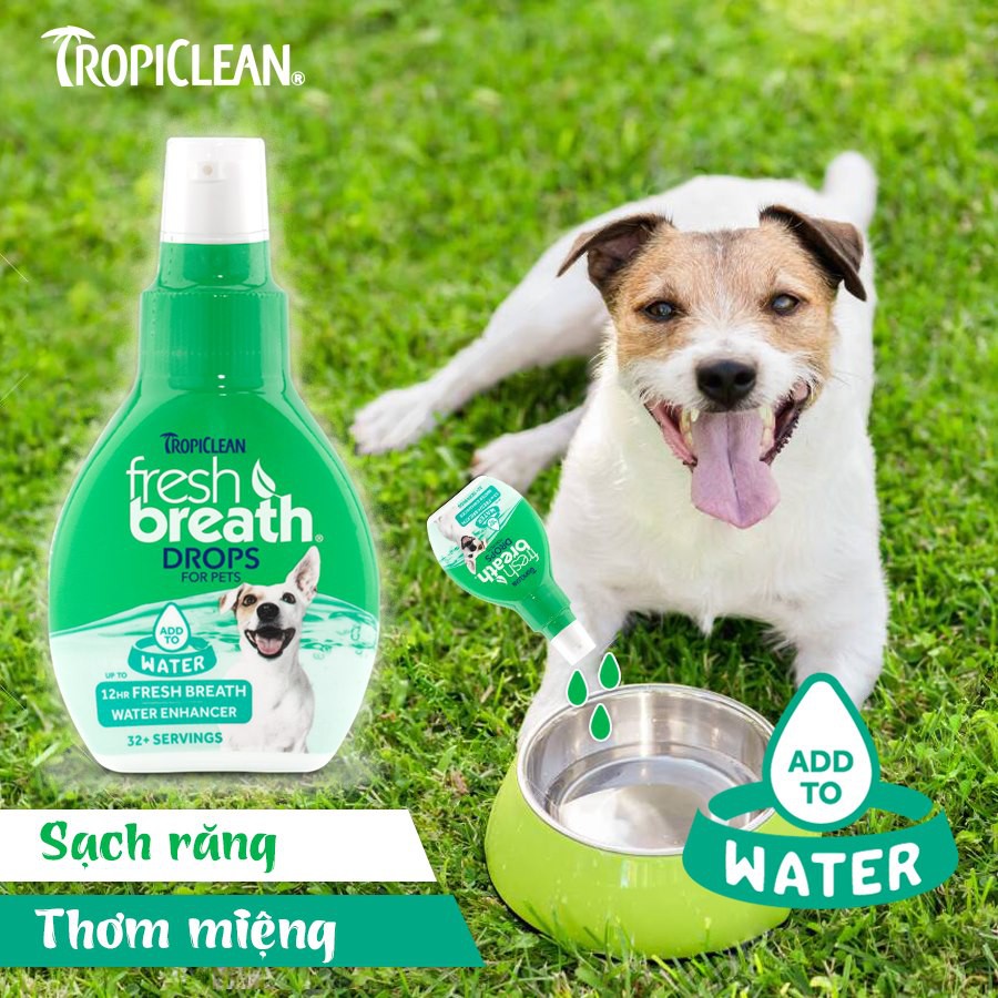 NƯỚC VỆ SINH RĂNG MIỆNG DẠNG ĐẬM ĐẶC TROPICLEAN FRESH BREATH DROPS CHO CHÓ