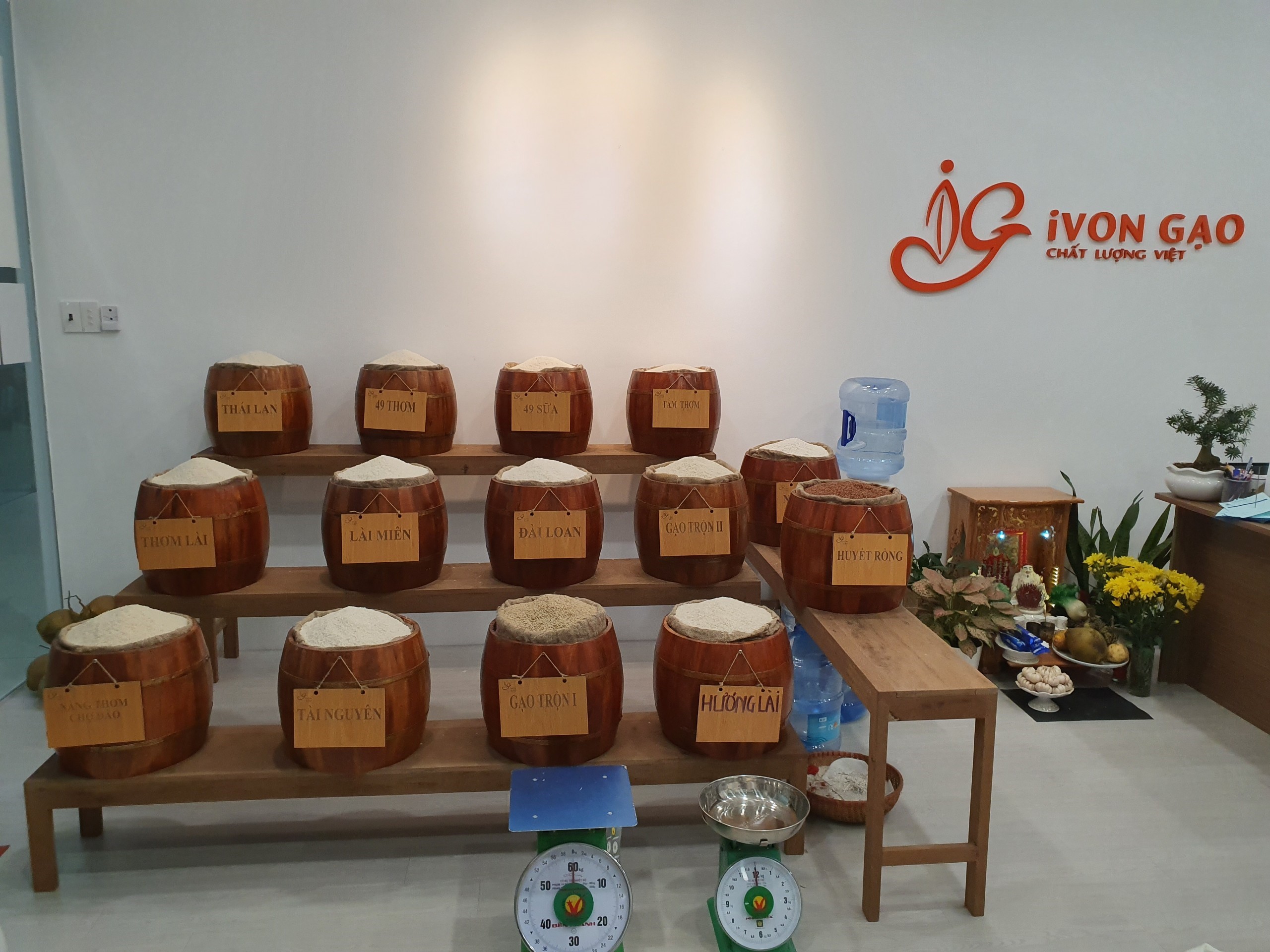 Gạo Sạch - Gạo Hương Lài (5kg ) - Hạt dài, dẻo vừa, thơm nhẹ, ngọt cơm