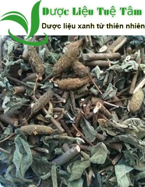 Cây an xoa khô 1kg - Dược liệu Bình Phước