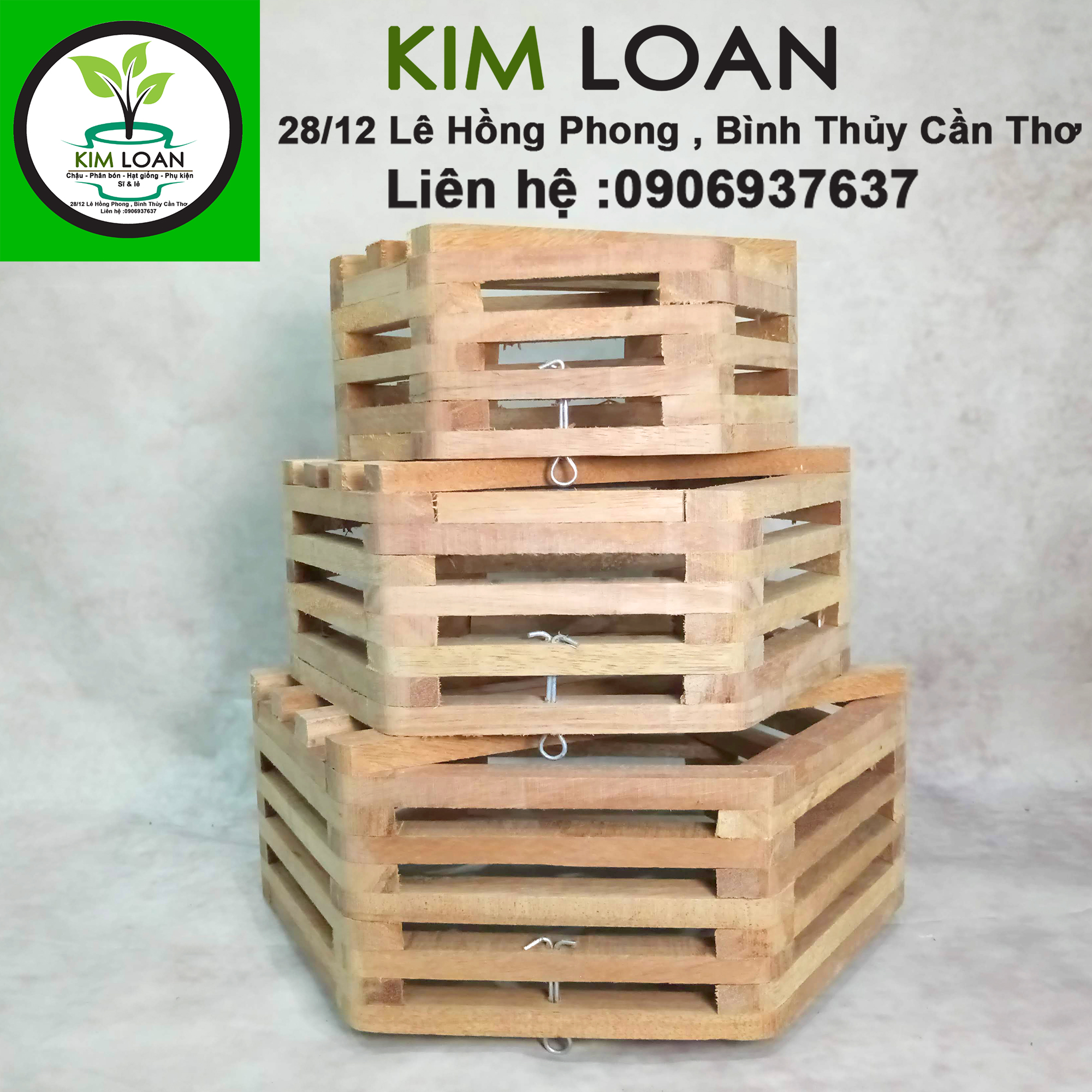 Combo 2 chậu lan gỗ lục giác 21x10cm
