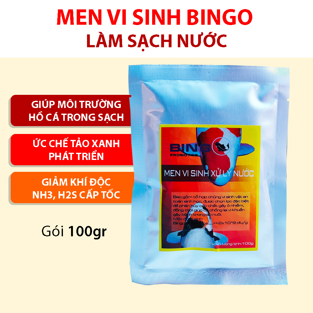 Bingo men vi sinh làm trong nước hồ cá Koi tốt nhất hiện nay