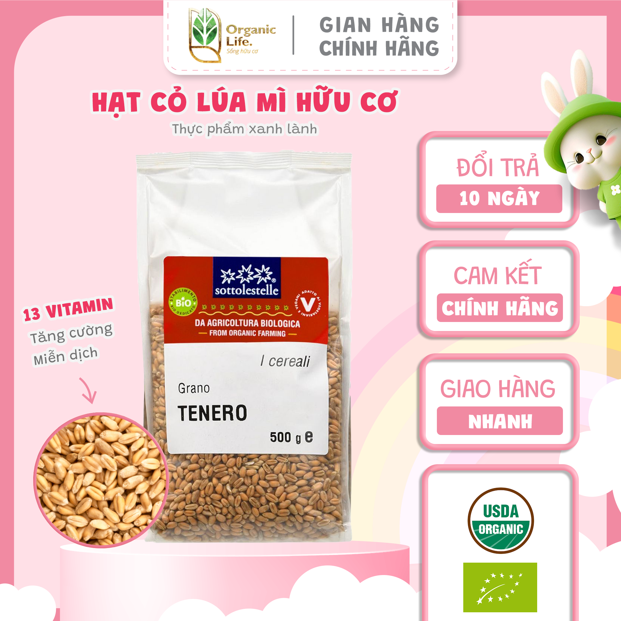 Hạt cỏ lúa mì hữu cơ organic life sottolestelle 100% hạt lúa mì triticum aestivum hữu cơ tốt cho sức khỏe