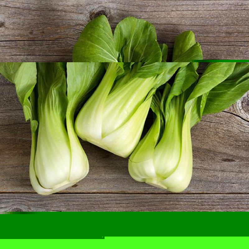 20G Hạt Giống Rau Cải Thìa (Cải Chip) Giàu Dinh Dưỡng