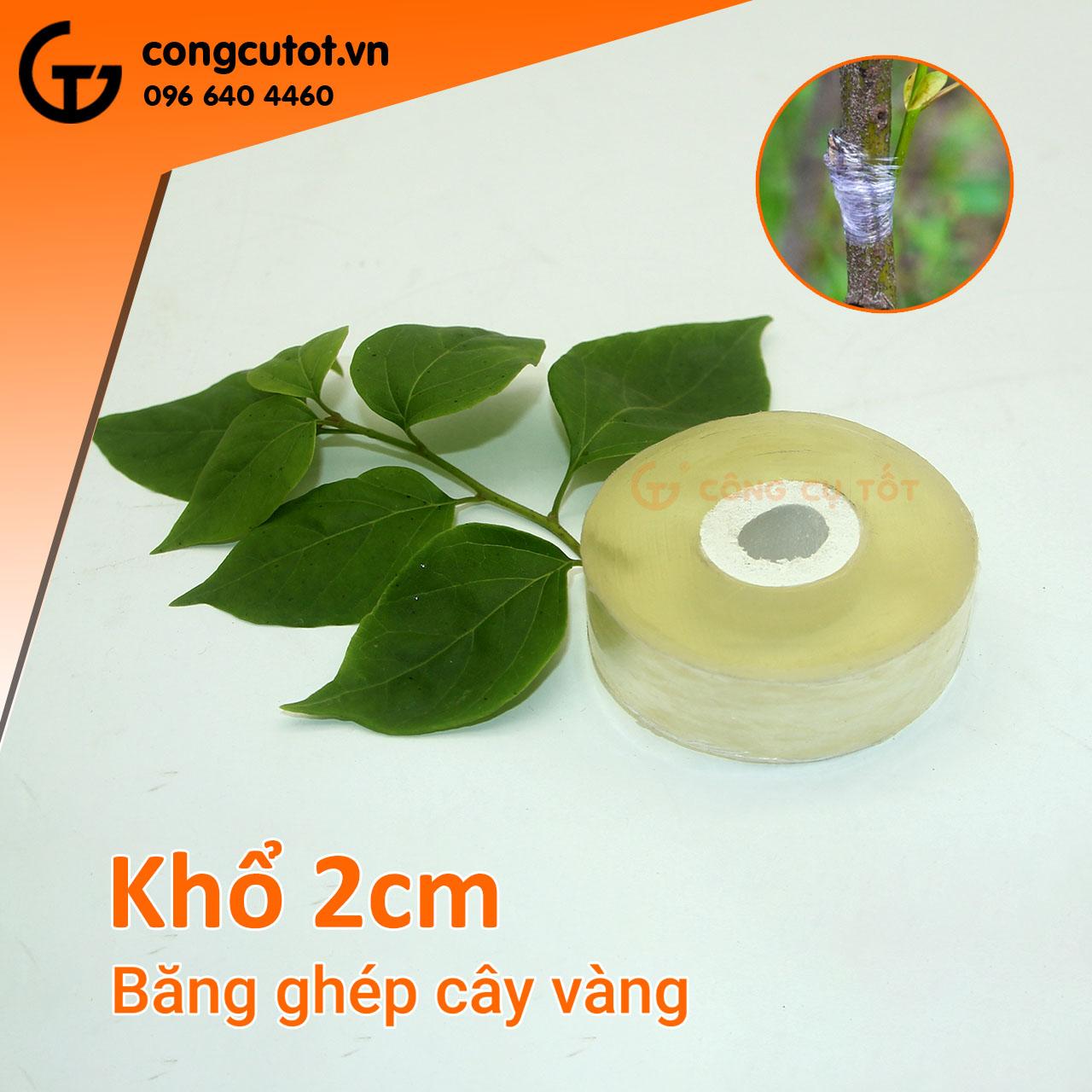 Bộ 10 cuộn băng keo ghép cây tự dính các cỡ 2-5cm