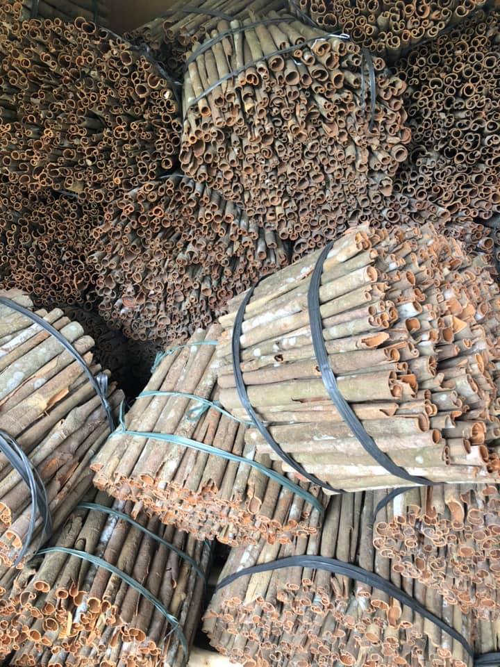 1kg Quế thanh chưa cạo vỏ
