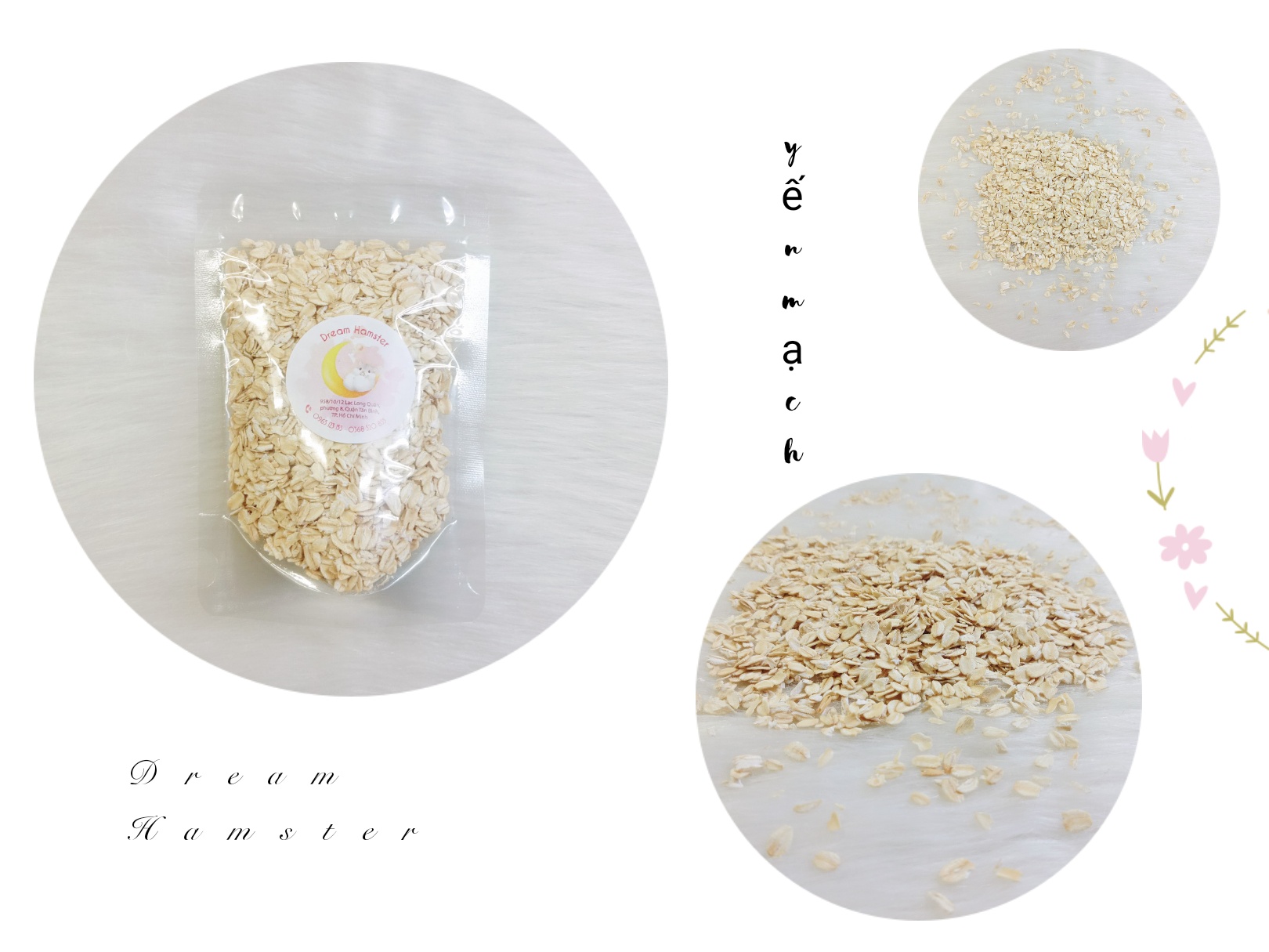 Yến mạch bổ dưỡng cho Hamster