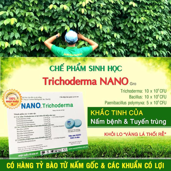 Viên nén trichoderma NANO gro. Chế phẩm vi sinh Nấm Đối Kháng Cực Mạnh. Ủ phân rác bã hữu cơ hoai mục. Hàng tỷ bào tử vi nấm hữu hiệu. Ngăn chặn Vàng Lá Thối Rễ. Nhập khẩu từ Hoa Kỳ