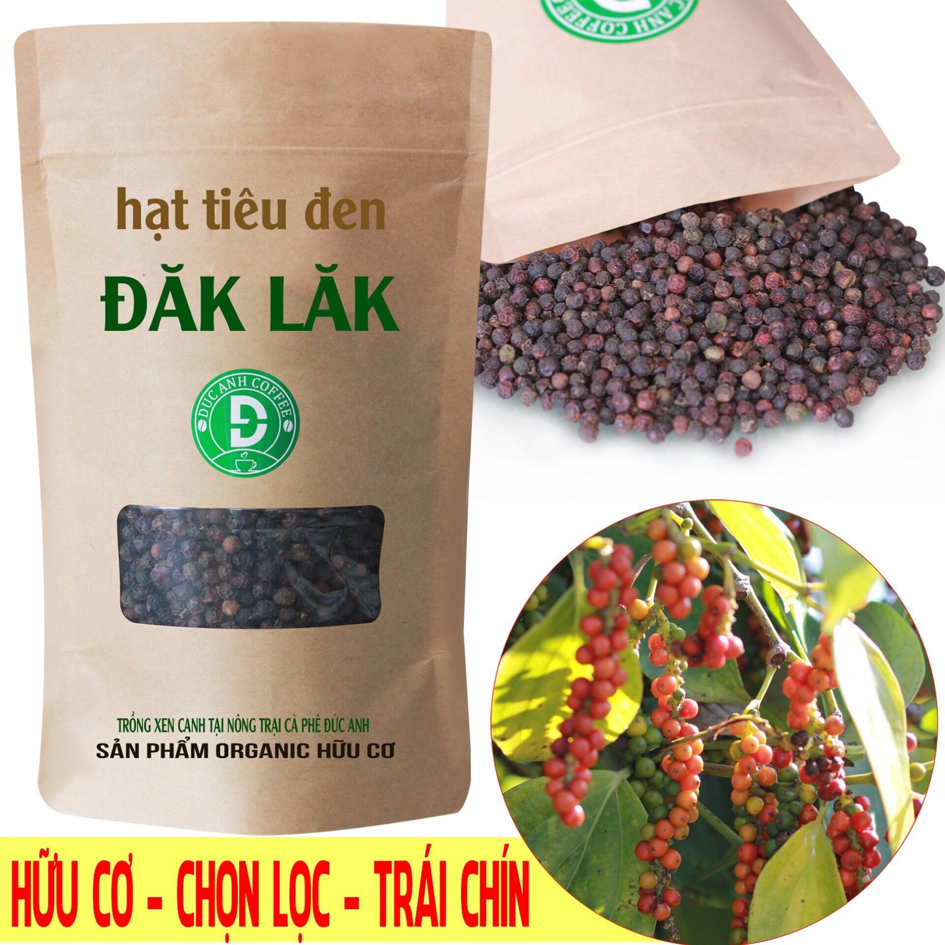 200gr tiêu đen nguyên hạt mùa vụ mới - trồng xen canh cà phê tại nông trại công ty cà phê Đức Anh - sản phẩm chọn lọc trái chín - gia vị cuộc sống - DUC ANH COFFEE
