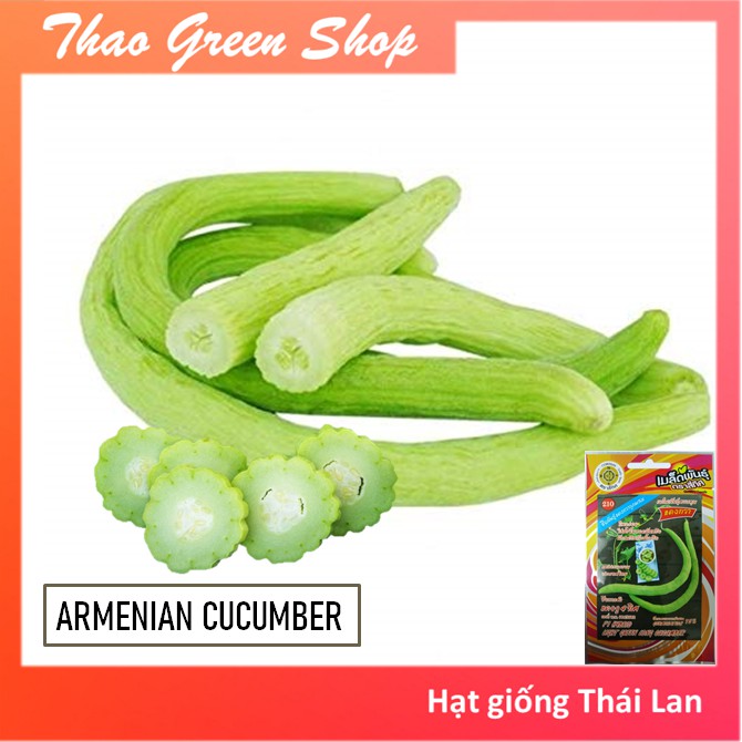 Hạt Giống Dưa Chuột Rắn Armenian Siêu Dài