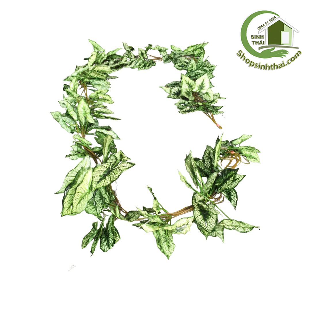 [HCM]Dây lá môn trắng dài 240cm dây leo màu xanh bằng vải lụa cao cấp