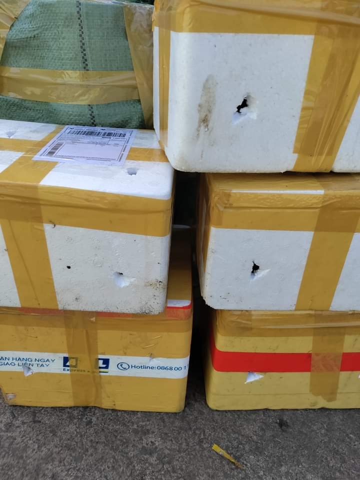 Combo 2-5kg sinh khối trùn quế giống- trùn quế xử lý rác hữu cơ làm phân bón