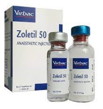 Zoletil 50 - Dung dịch cho gia súc, gia cầm, vật nuôi
