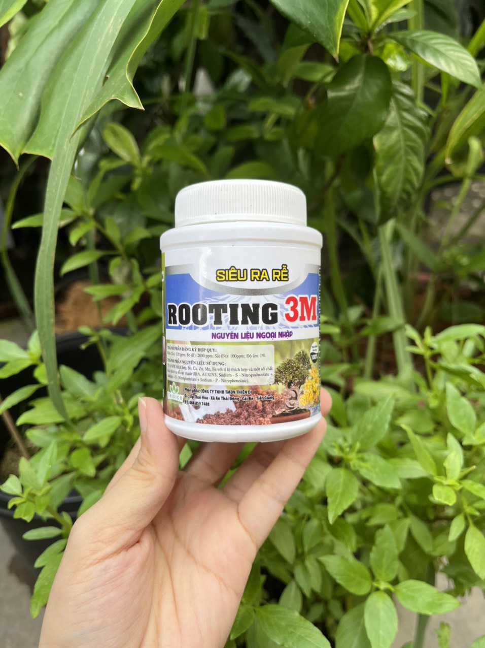 Kích rễ cực mạnh rooting 3m - hủ nhựa 100gr !