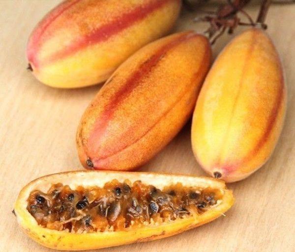 Chanh dây chuối leo Nam Mỹ + gói hạt giống ngẫu nhiên