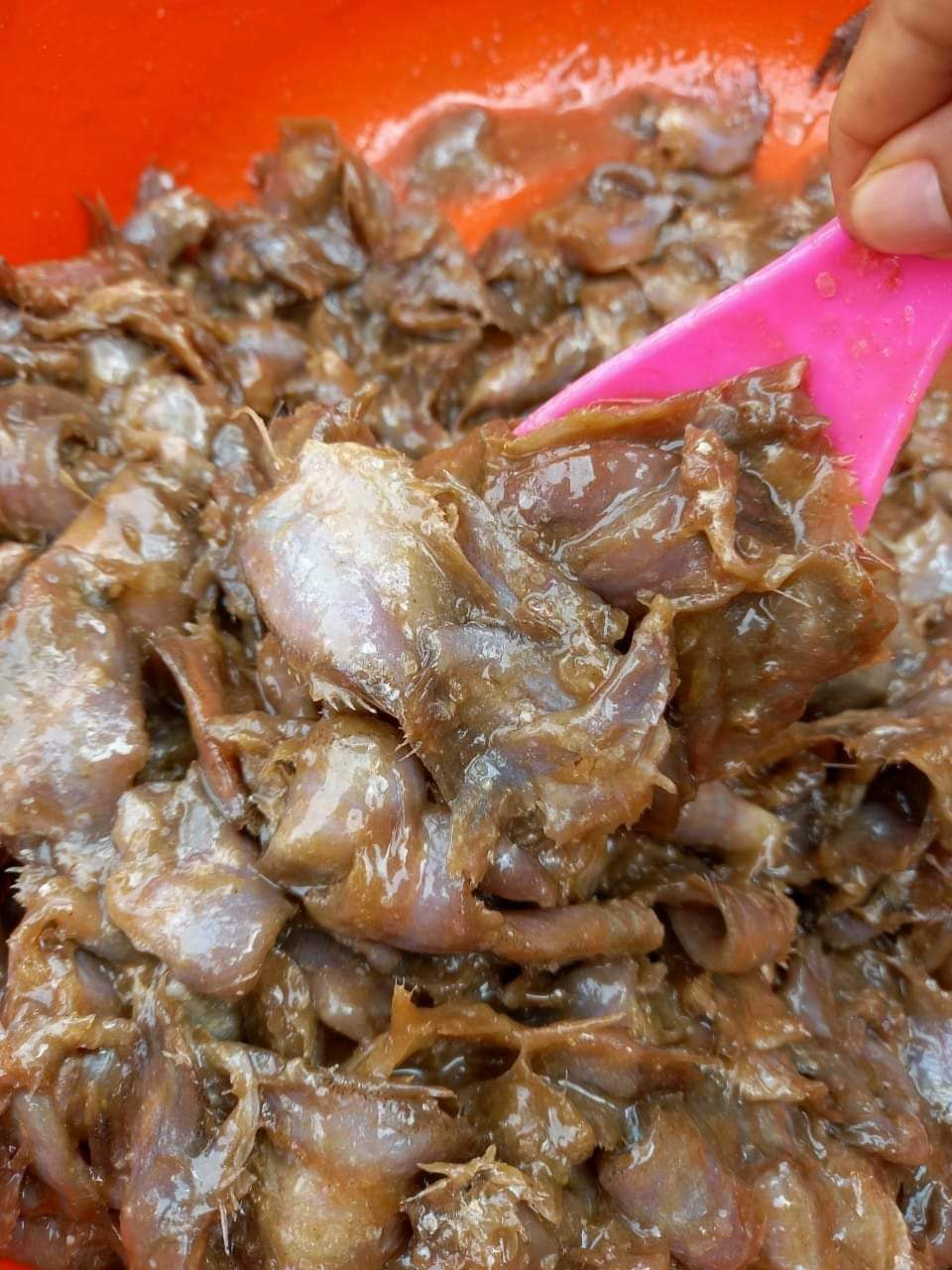 Mắm cá sặc loại 1 thơm ngon đặc sản châu đốc để nấu bún mắm lẩu mắm hủ 500gr khô thoại sơn