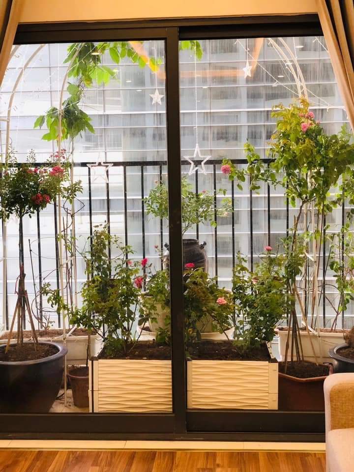 Khay Ghép Trồng Cây Và Rau Kích Thước Dài 100cm Rộng 50cm Cao 39cm(2 vách ghép), Chắc Chắn