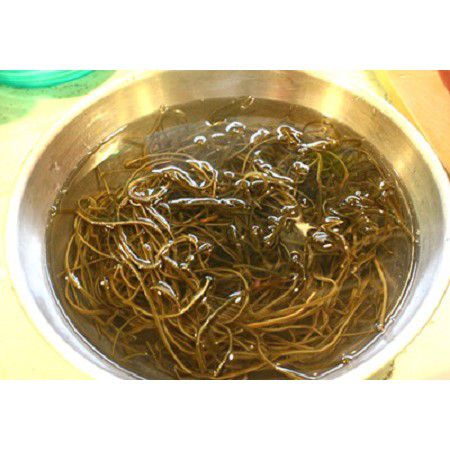 Combo 1kg Thạch Dừa Thô +Táo đỏ++phổ tai+hạt é