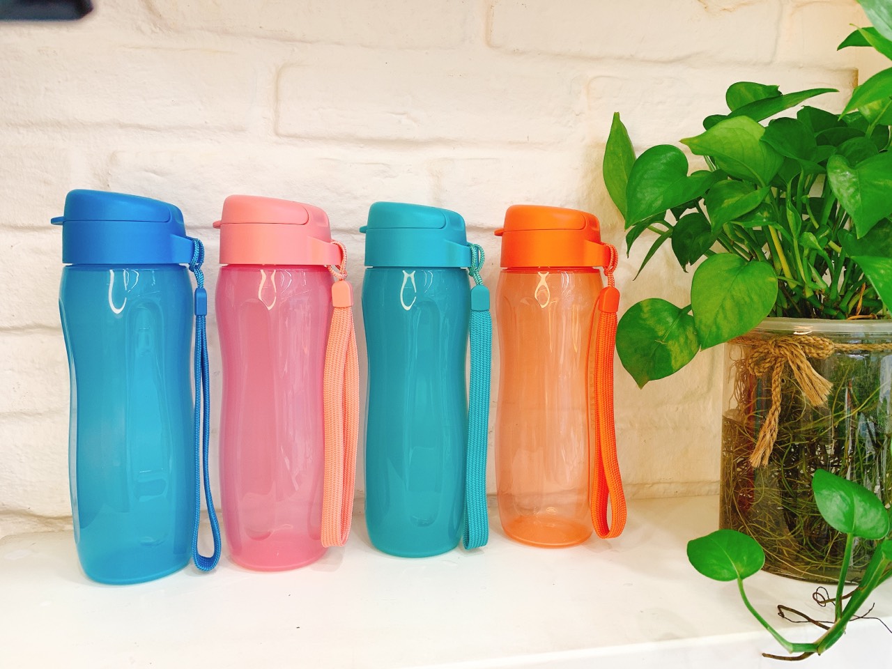 Bình Nước Tupperware Eco Bottle Gen II 500ml của chính hãng