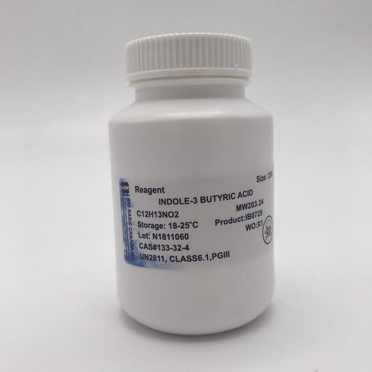 Chất nuôi cấy Indole-3- butyric acid (IBA), BioBasic