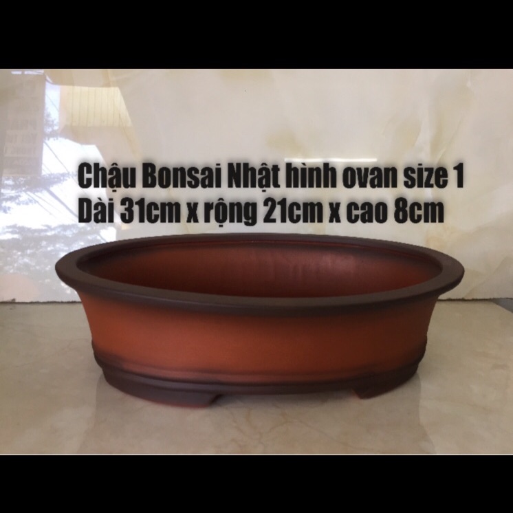 Chậu đất nung Bonsai ovan kiểu Nhật