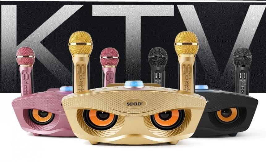 Loa bluetooth sdrd 306 - tặng kèm 2 mic không dây cực hay