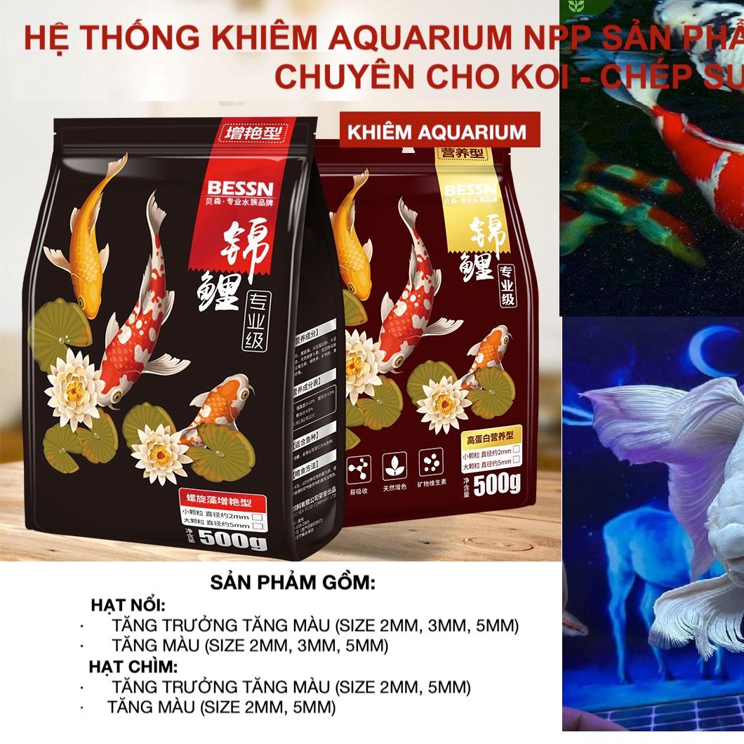 Thức ăn cá KOI BESSN 42% đạm Cám cá koi king feed 2.5KG+Vi sinh Viethands