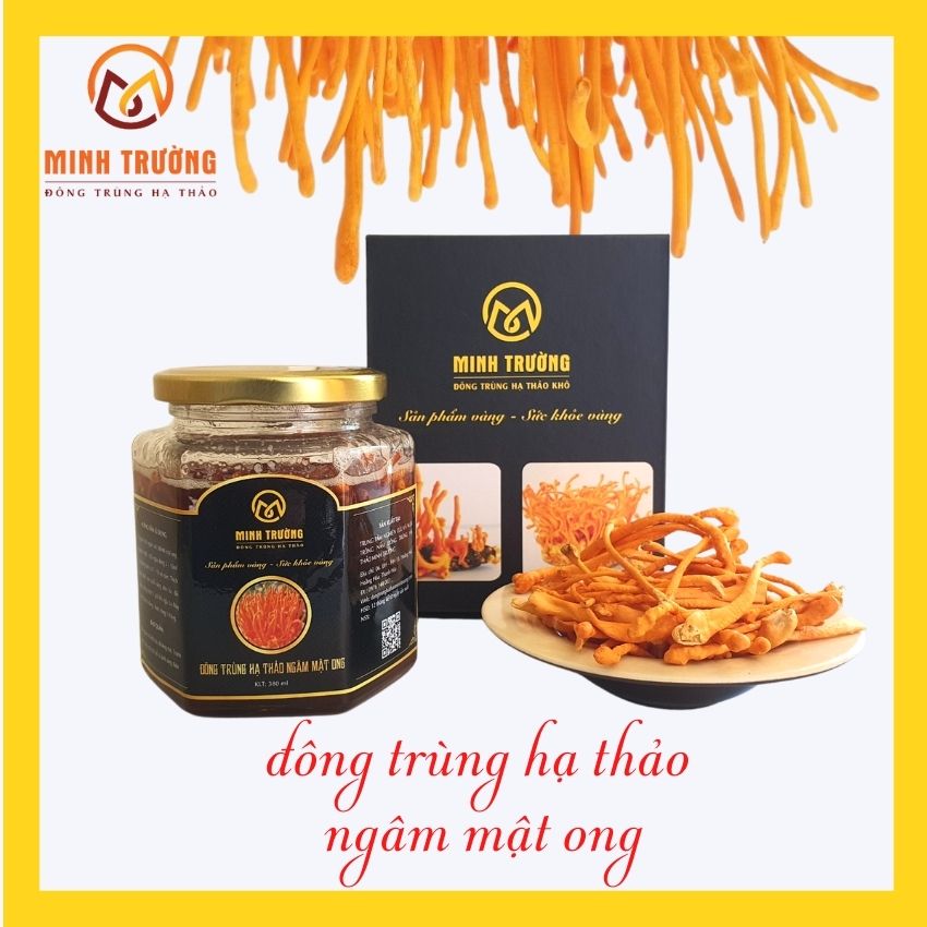 Mật Ong Đông Trùng Hạ Thảo Minh Trường ( 380ml ) bồi bổ cơ thể, tăng cường sức khẻo, ổn định huyết áp