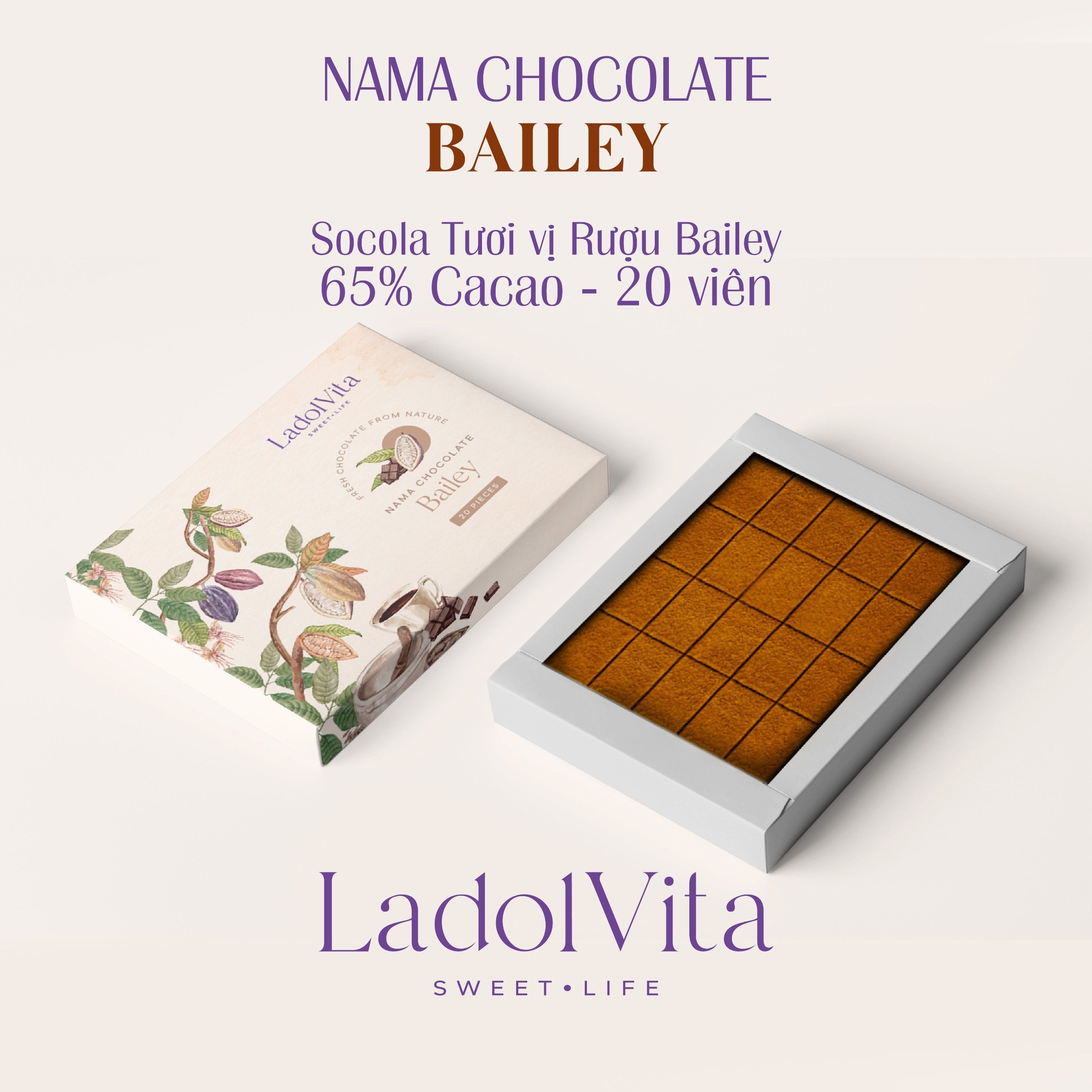 Nama Chocolate Bailey - Socola Tươi LadolVita Vị Kem Sữa Bailey