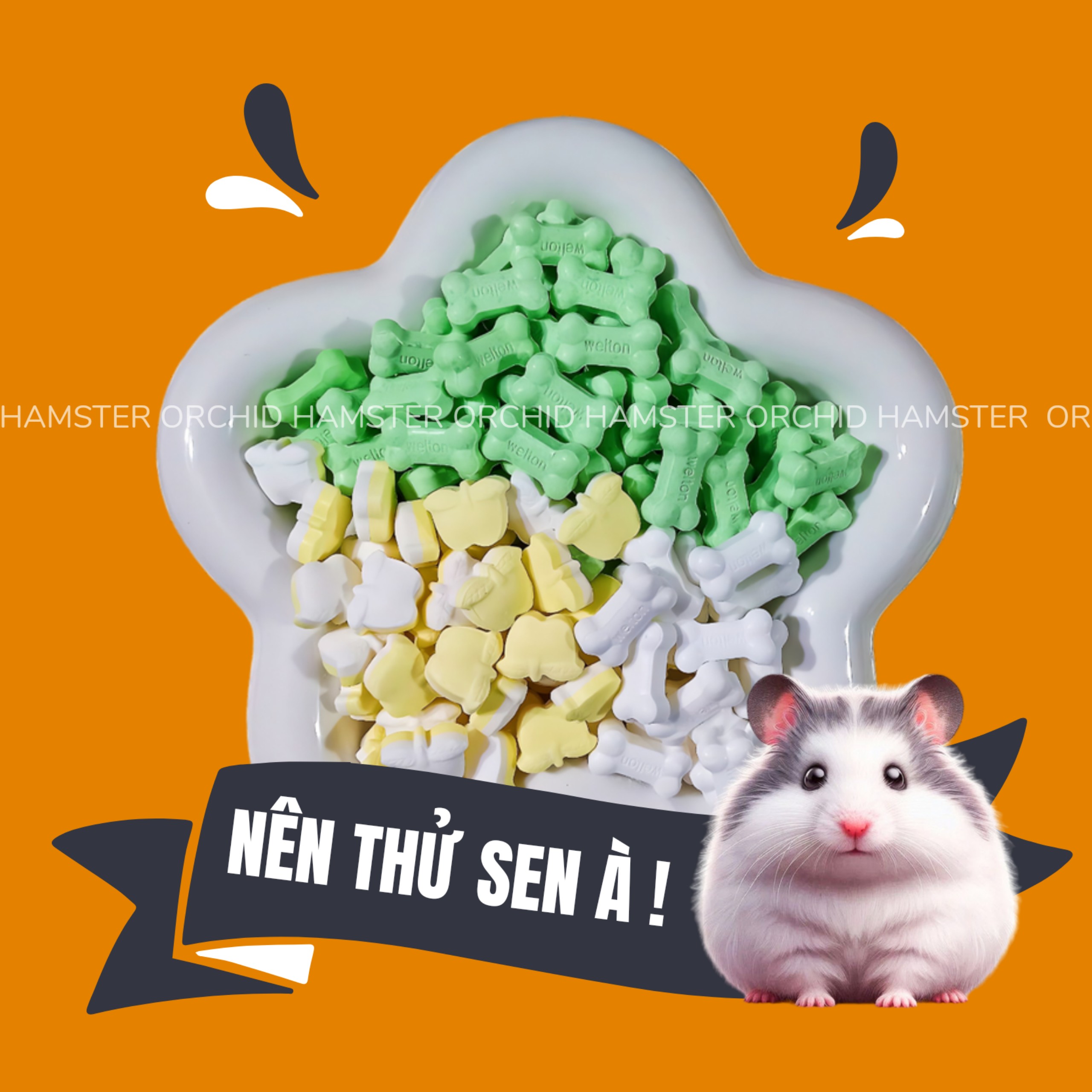 Viên sữa dê cô đặc bổ sung canxi hamster