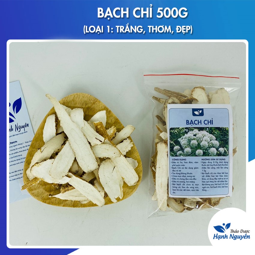 Bạch Chỉ 500g (Hàng Trắng, Thơm)