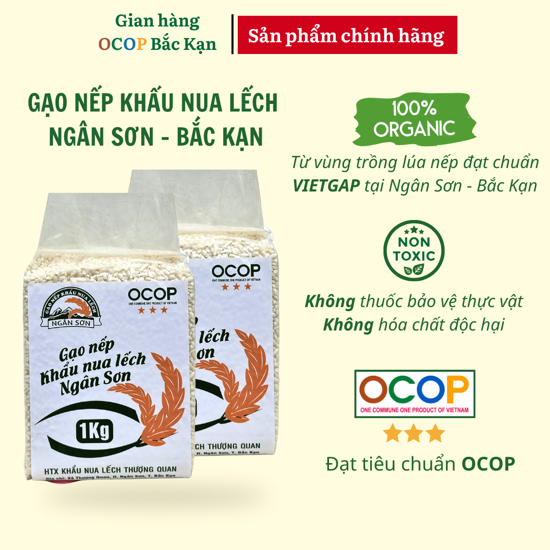 Gạo nếp Khẩu Nua Lếch Bắc Kạn hạt mẩy, mềm dẻo, thơm ngon túi 1KG