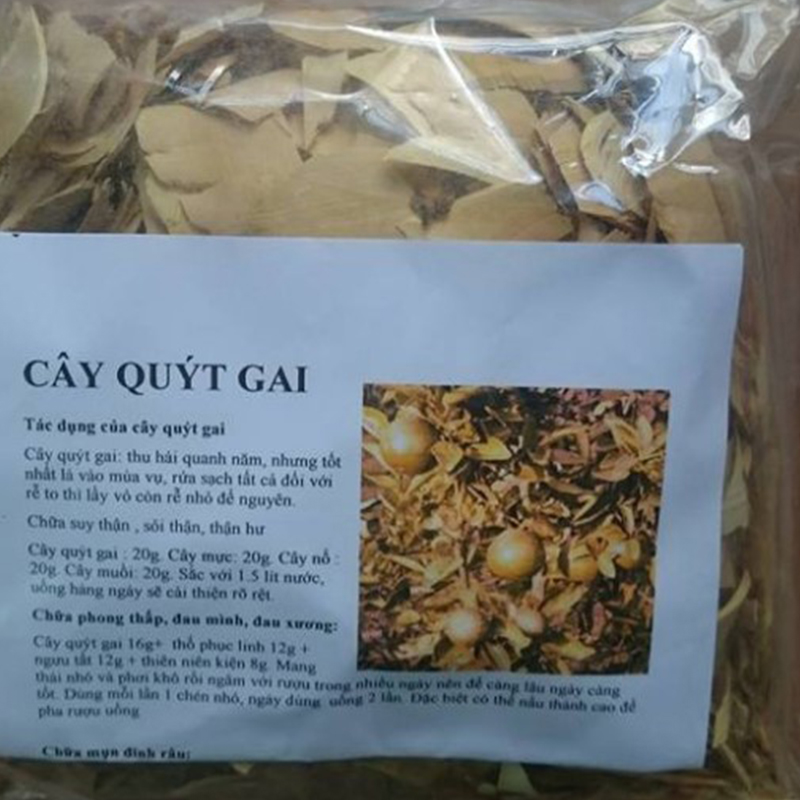 Cây quýt gai khô 1kg - dv207