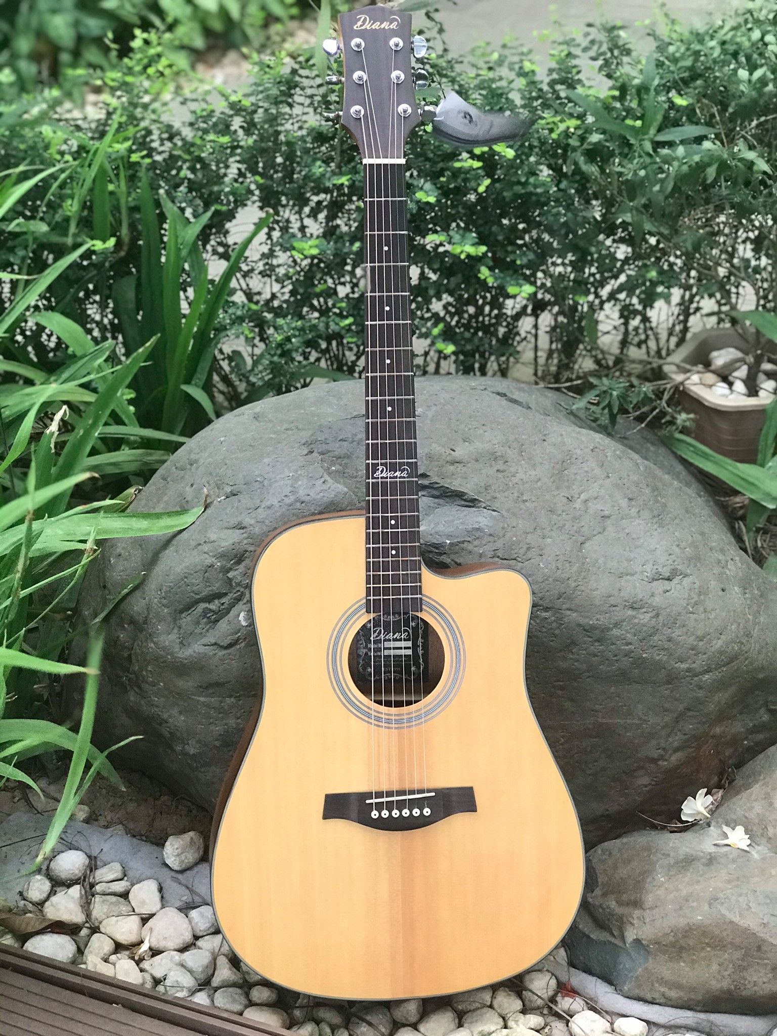 Đàn guitar acoustic diana d816-nm chính hãng