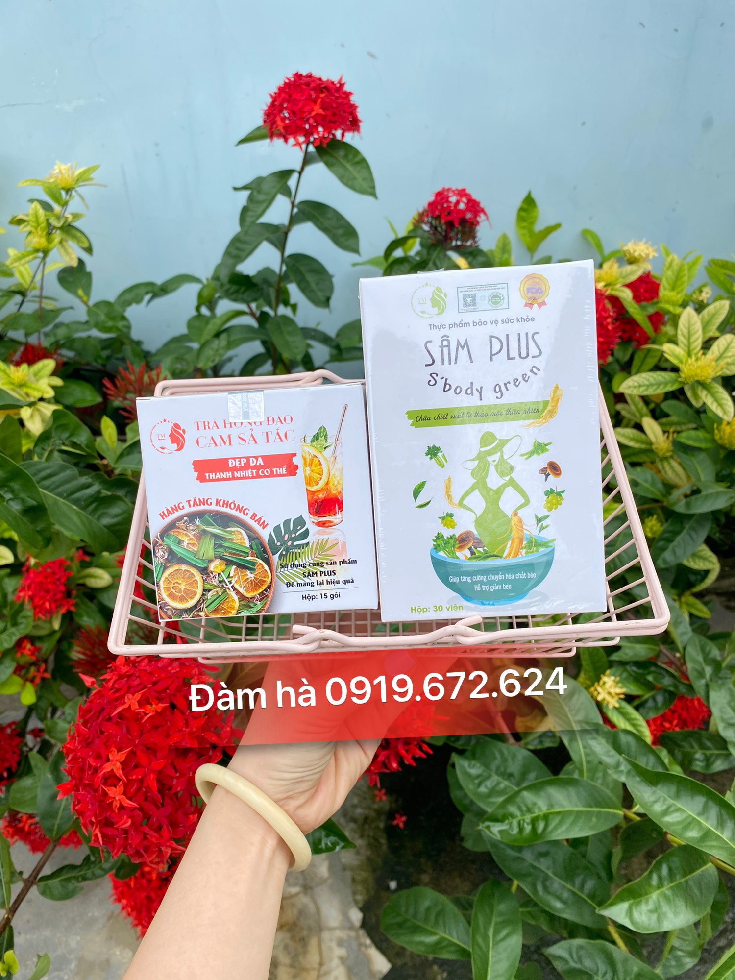 Kẹo giảm cân Sâm Plus sbody green - sâm plus s' body green