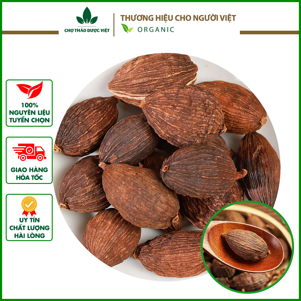 Thảo quả khô 100g, quả to, sạch, gia vị nấu phở, nấu sốt vang, ngâm mai quế lộ, gà ủ muối, lạp xưởng