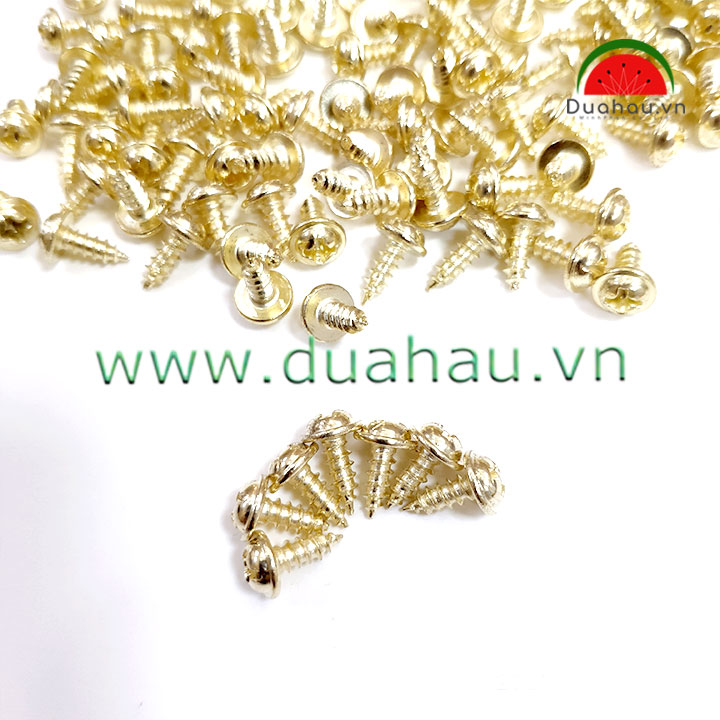 Vít dù 3x10 mm đầu + loại 1 nhập khẩu