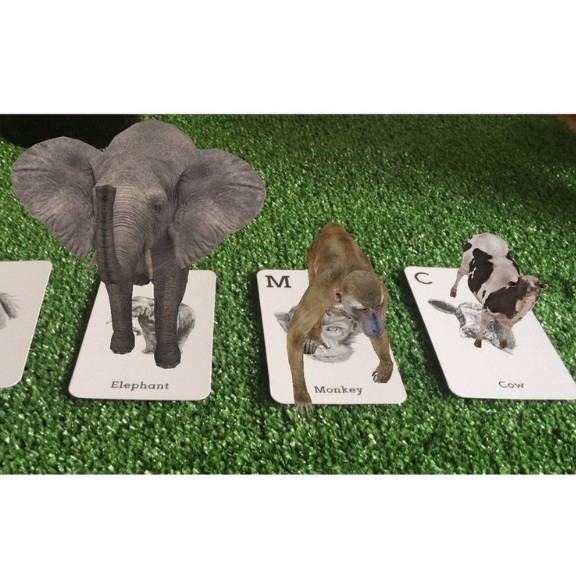 Thẻ học 4d cho bé gồm 31 bộ thẻ - Vườn thú ảo Animal 4D tăng khả năng sáng  tạo học hỏi của trẻ - Animal 4D - Thẻ 4D 