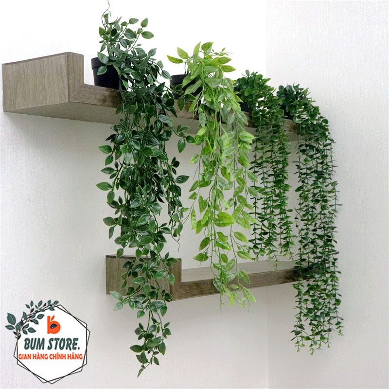  Cây Giả Trang Trí Nhà Cửa Lá Rủ Nhựa Mềm Kèm Chậu Để Bàn Cây Rủ Lá Nhựa Giả Mini Trang Trí Để Bàn Nhẹ Bền Thẩm Mỹ Cao 