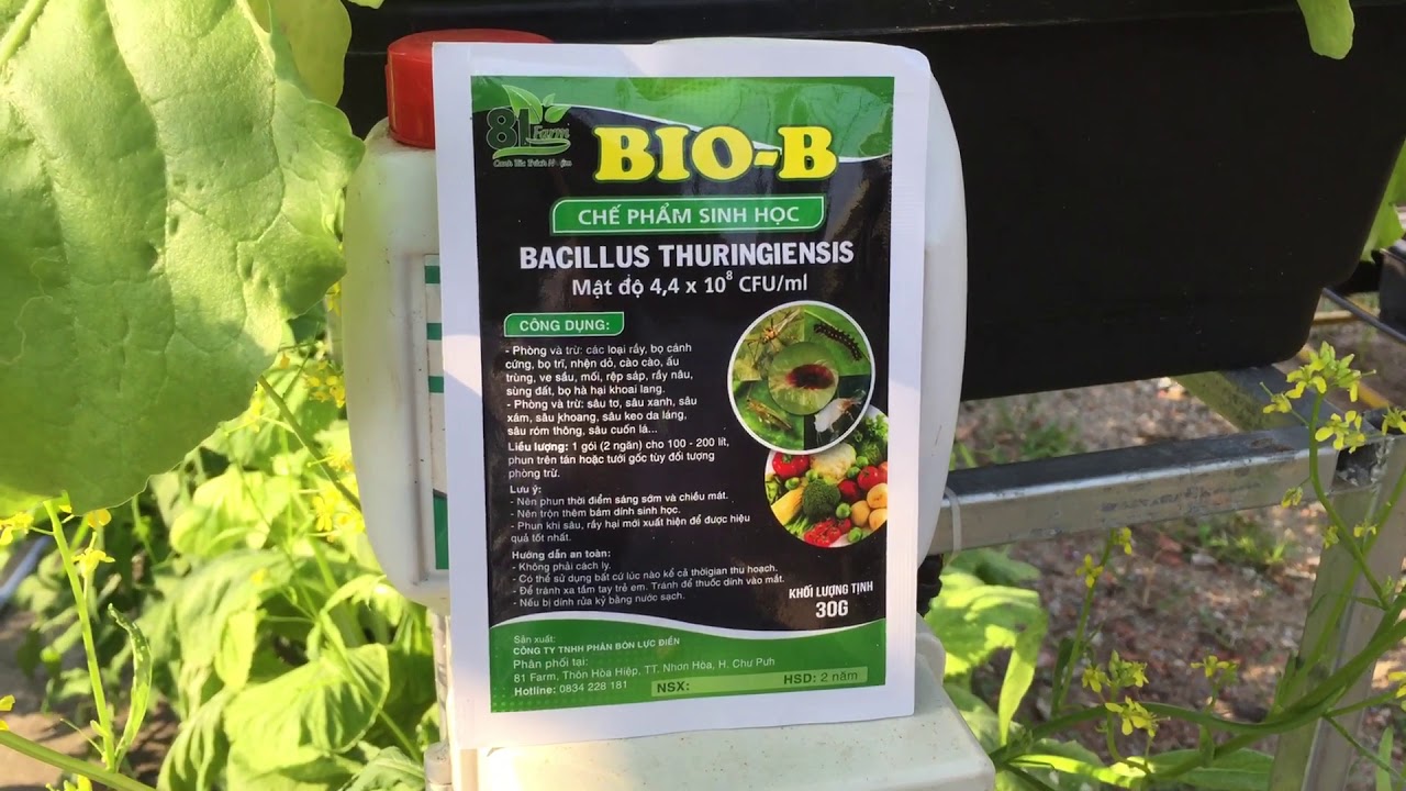 Chế phẩm sinh học bio b - gói 30gr