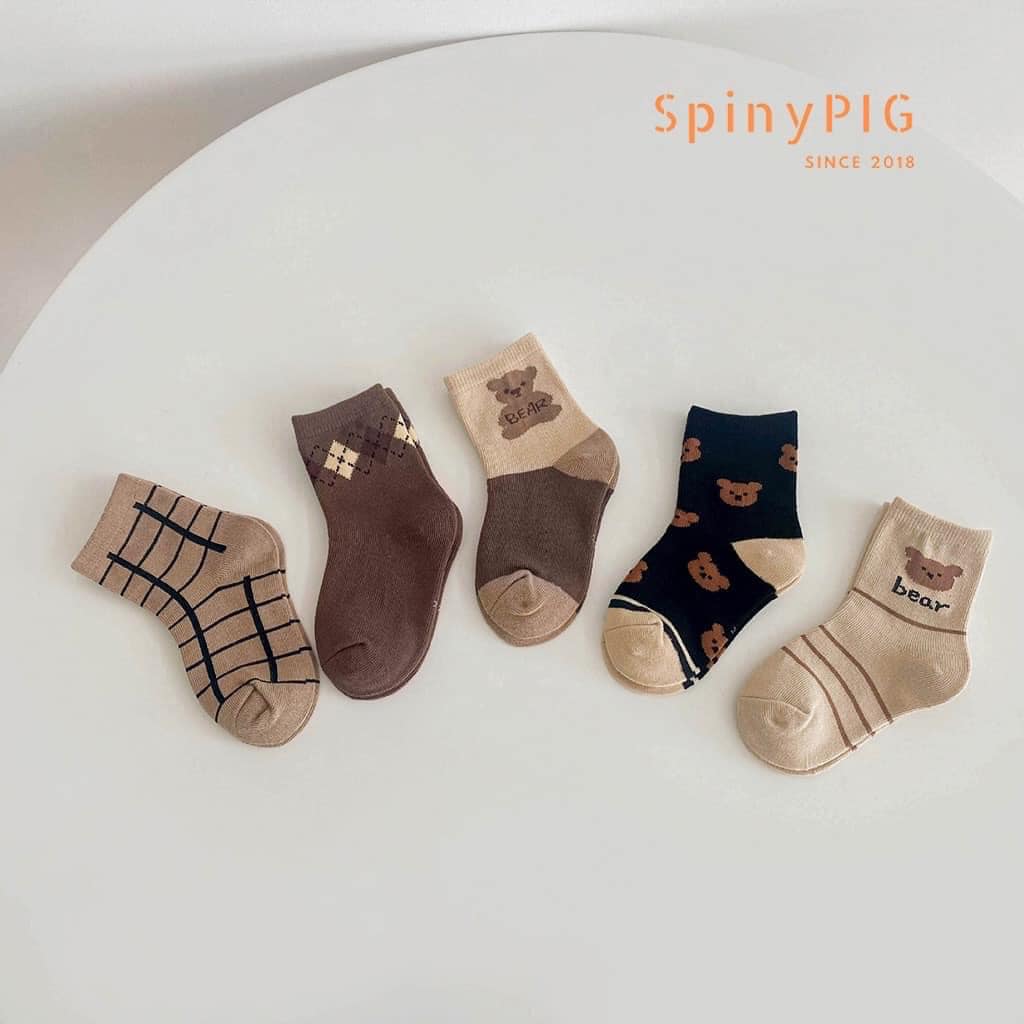Combo 10 đôi tất gấu nâu cho bé trai và gái