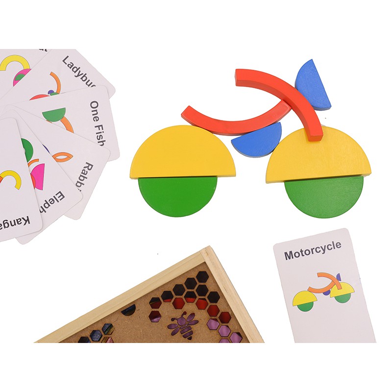 Colour Circle - Vòng tròn sắc màu -TUS011
