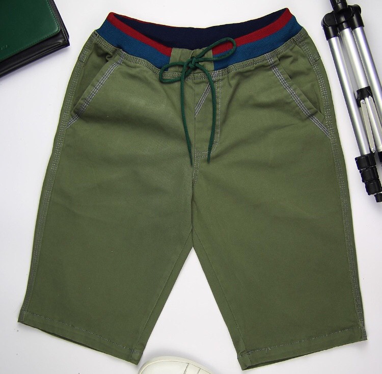 [HCM]Quần Shorts Nam Lưng Thun  LD02