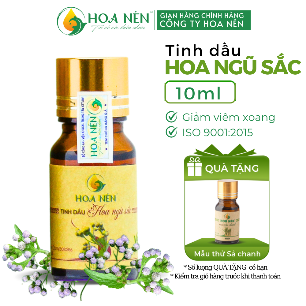 Tinh dầu hoa Ngũ Sắc nguyên chất 10ml - Hoa Nén - Vegan - Gi.ảm vi.êm xoang, vi.êm mũi d.ị ứ.ng