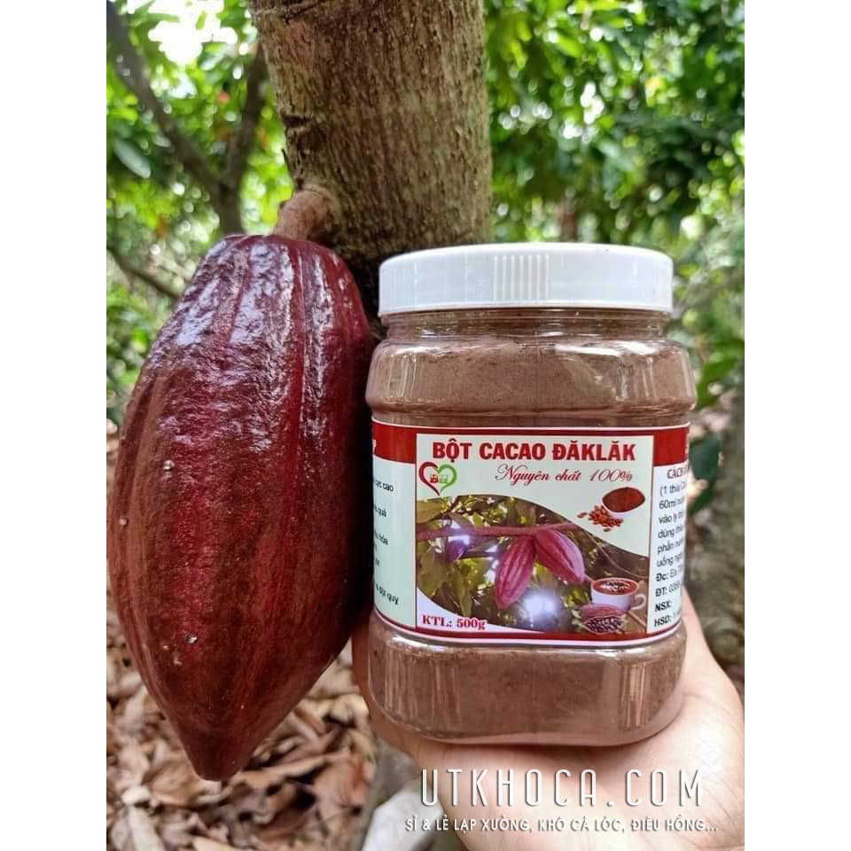 Bột Cacao Daklak Nguyên Chất