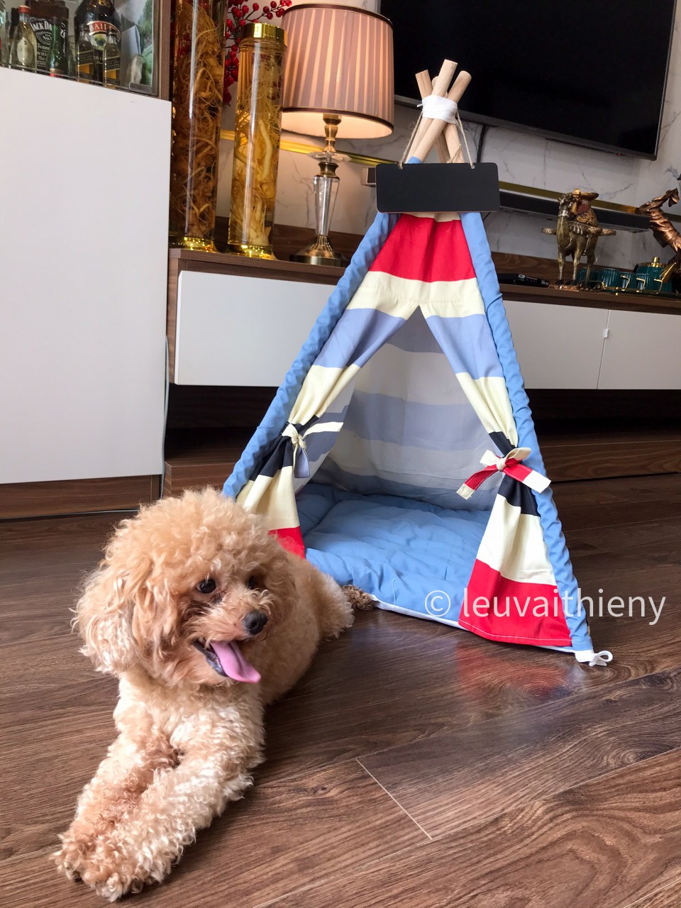 Lều thú cưng 60x60x70cm Lều cho chó mèo vải kaki cao cấp màu kẻ - mềm mại dễ giặt giũ Hàng có sẵn Ảnh tự chụp